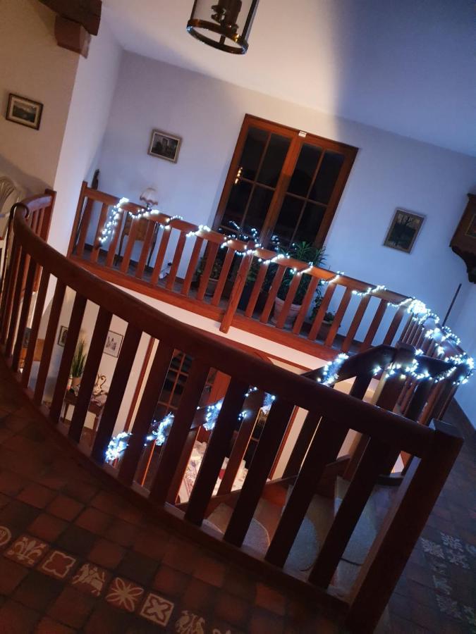 Gite Des Ecureuils Obernai Zewnętrze zdjęcie
